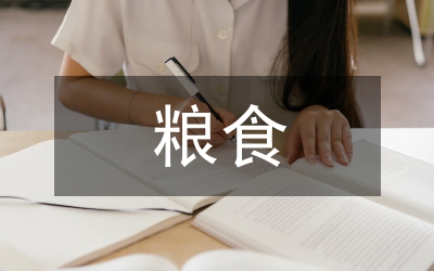 糧食財會處長講話