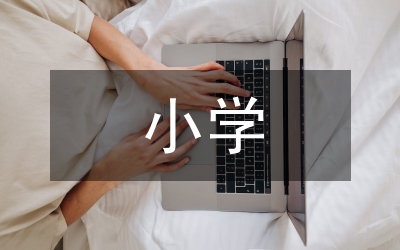 小學培訓工作總結