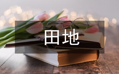 田地征收補(bǔ)償標(biāo)準(zhǔn)