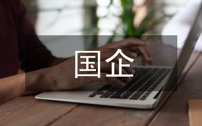 國企工作匯報