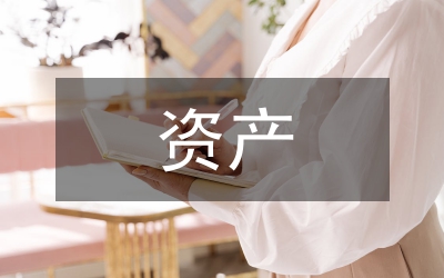 資產(chǎn)財(cái)會(huì)部情況報(bào)告