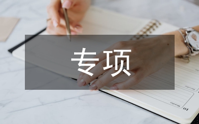 專項(xiàng)活動總結(jié)