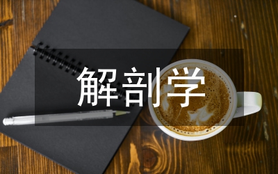 醫(yī)學(xué)影像解剖學(xué)課程思政教學(xué)改革路徑