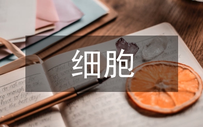 細胞與分子生物學(xué)教學(xué)改革與實踐