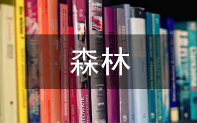 森林火災風險特征及預防體系探討